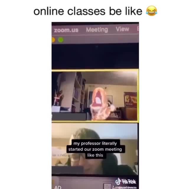 Professor Funny Zoom Filter Meme Template - Online Class Fun - funny Comedy meme