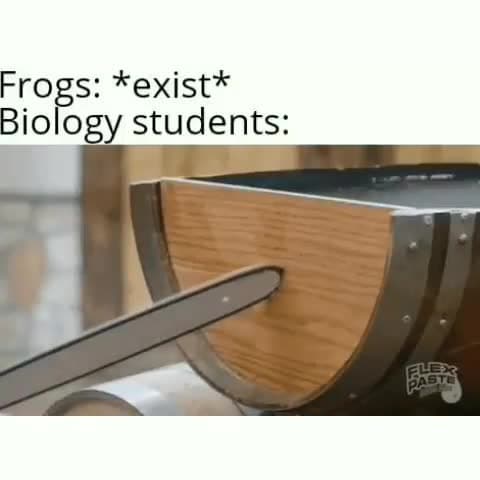 Flex Tape Chainsaw Barrel Cut Meme Template | Biology Students Frog Dissection - funny Reaction Memes meme