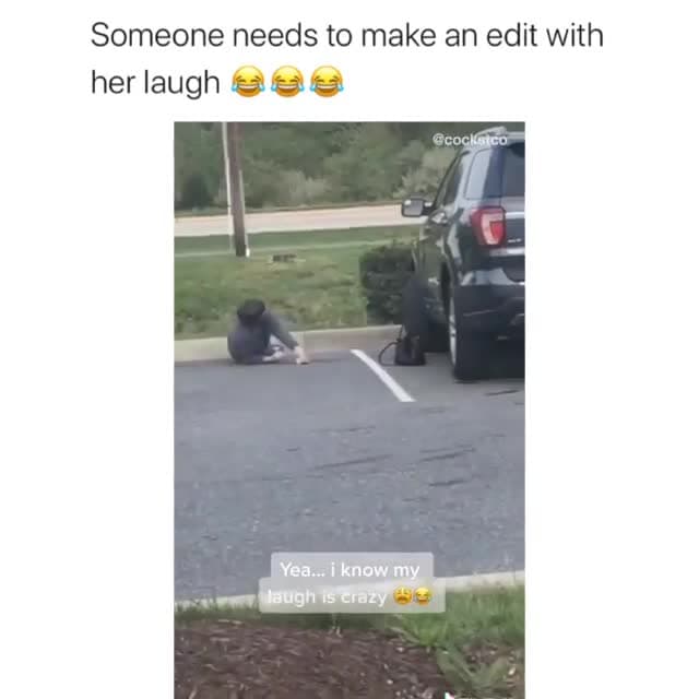 Goose Attack Fail Crazy Laugh Meme Template - funny Funny Fails meme