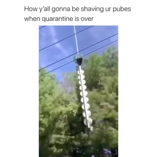 Helicopter Tree Trimmer | Extreme Grooming Meme Template - funny Humor meme