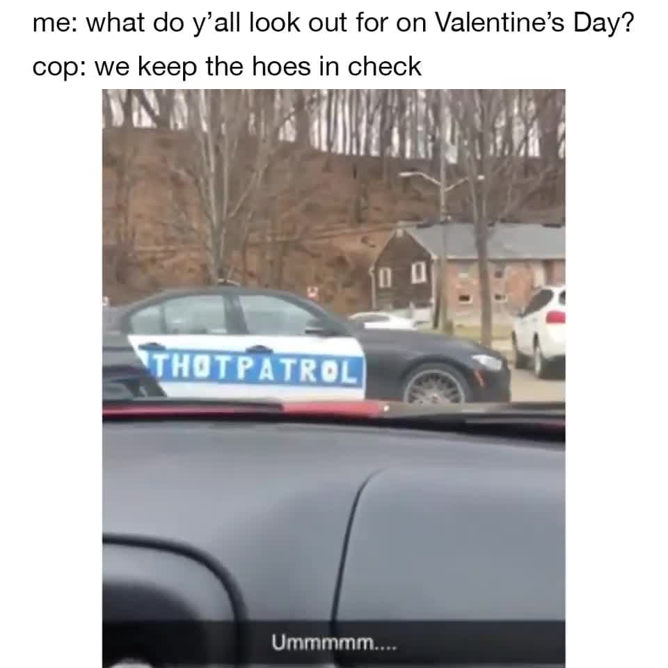 Thot Patrol Valentine's Day Meme Template - funny Humor meme