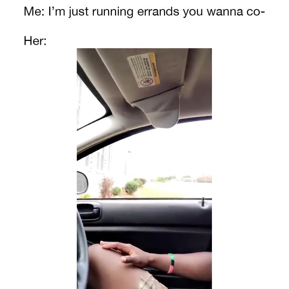 Dog Jumps into Car for Errands - Hilarious Pet Reaction Meme Template - funny Animals meme