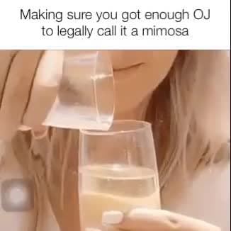 Mimosa 'Just Enough OJ' Meme Template - funny Humor meme