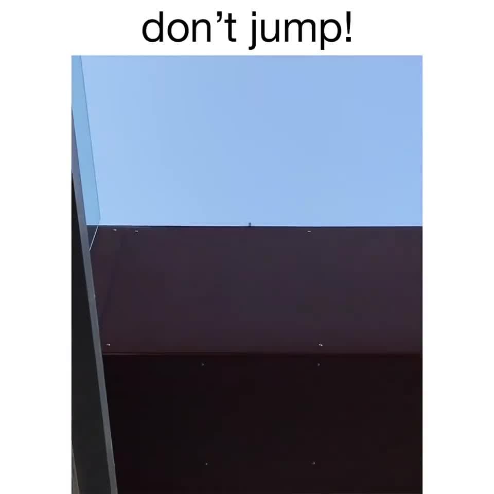 Don't Jump! Don't Do It! Meme Template - Funny Reaction - funny Reaction Memes meme