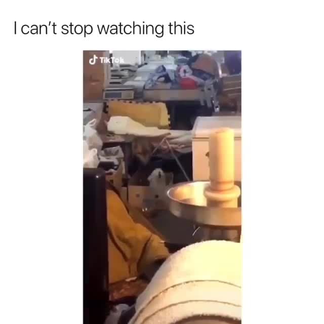 Curious Dog Peeking Out Meme Template - funny Animals meme