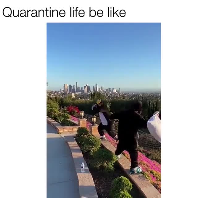 Quarantine Pillow Fight Chaos Meme Template - funny Funny meme