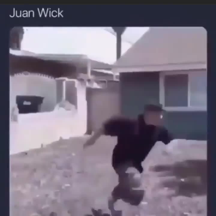Juan Wick Energetic Dance Meme Template - funny Viral Meme meme