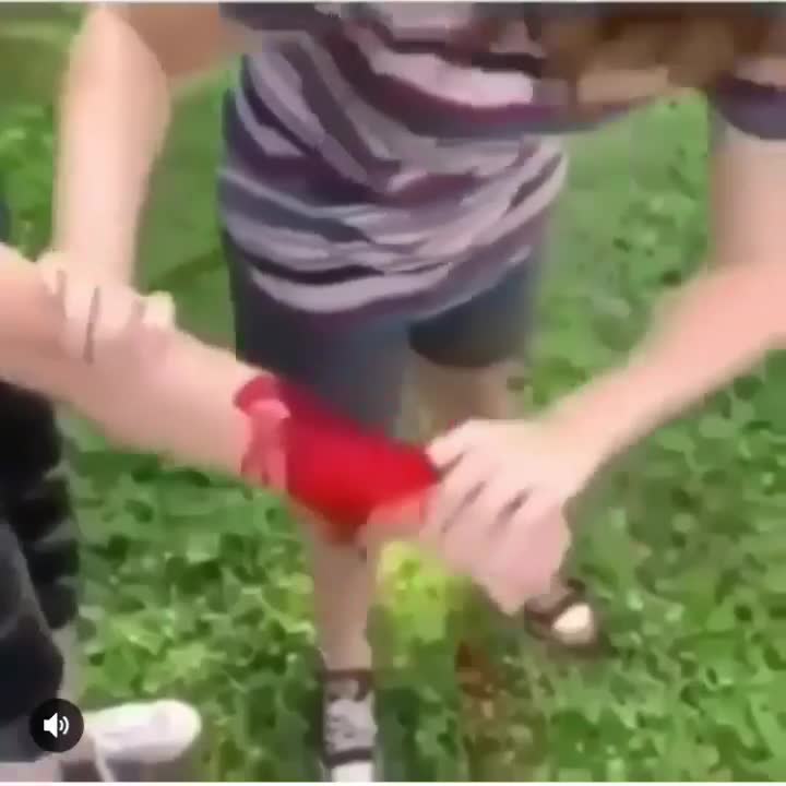 Gross Arm Prank Shocked Reaction Meme Template - funny Comedy Reaction meme