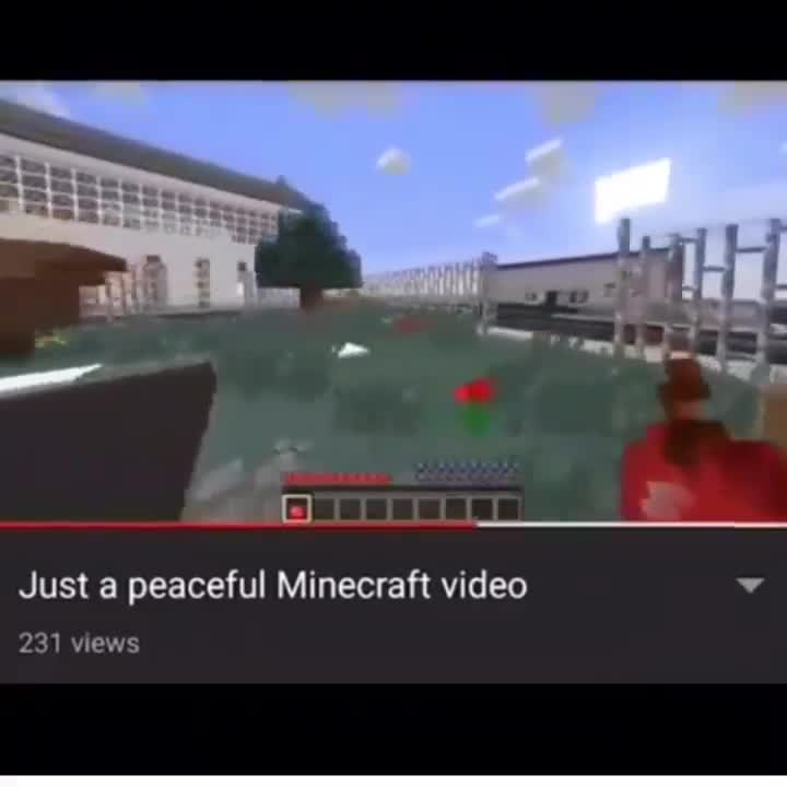 Peaceful Minecraft Turns Warzone Meme Template - funny Gaming Meme meme