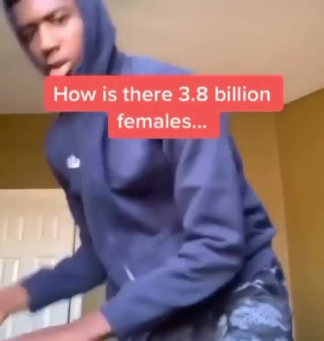 3.8 Billion Females My Plate Is Still Empty Meme Template - funny Relatable Humor meme