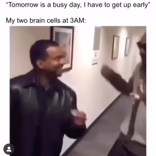 My Two Brain Cells at 3 AM Funny Meme Template - Late Night Energy - funny Comedy meme