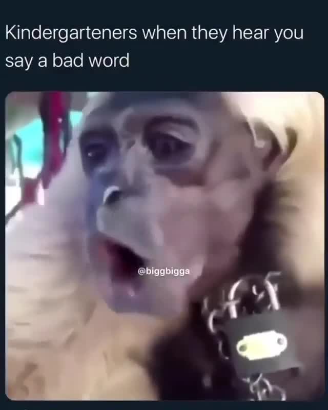 Monkey Reaction to Bad Word Meme Template - funny Animal Memes meme