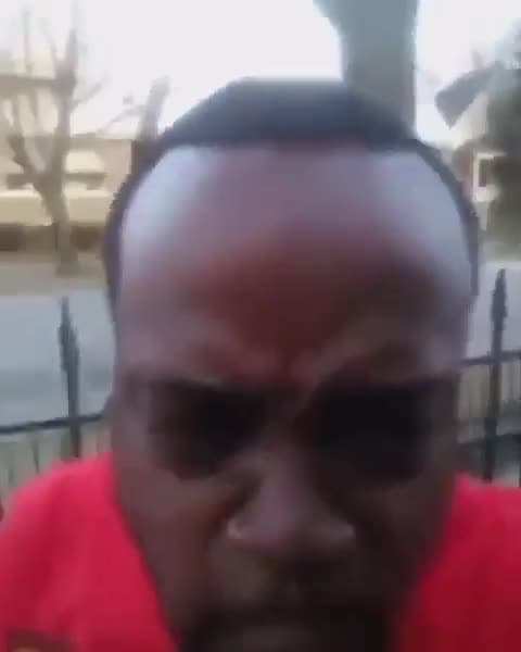 Look at My Forehead - Big Forehead Reaction Meme Template - funny Reaction Meme meme