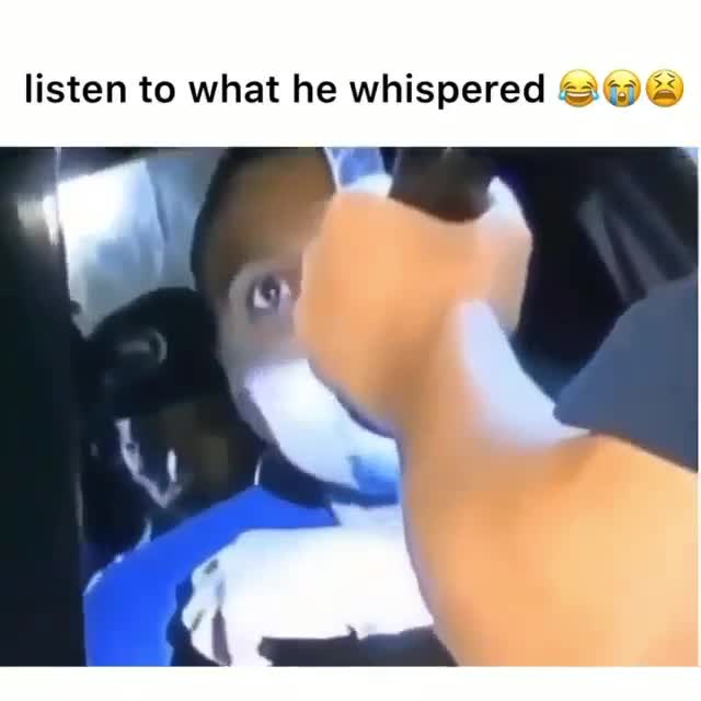 Police Interrogation 'Blunt in Butt' Meme Template - funny Comedy Skit meme