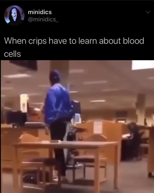 Crips Learning About Blood Cells Meme Template | Frustrated Student Walkout - funny Humor & Relatable meme