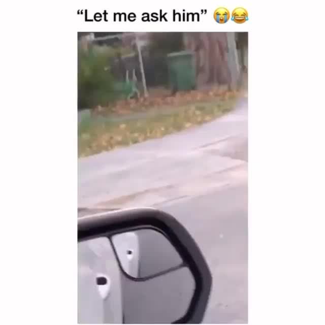 "Let Me Ask Him" Dog Intervention Meme Template - funny Comedy meme