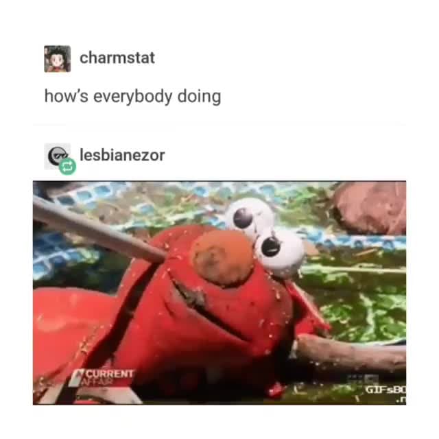 Elmo Poked in Water Meme Template | How's Everyone Doing - funny Relatable Memes meme