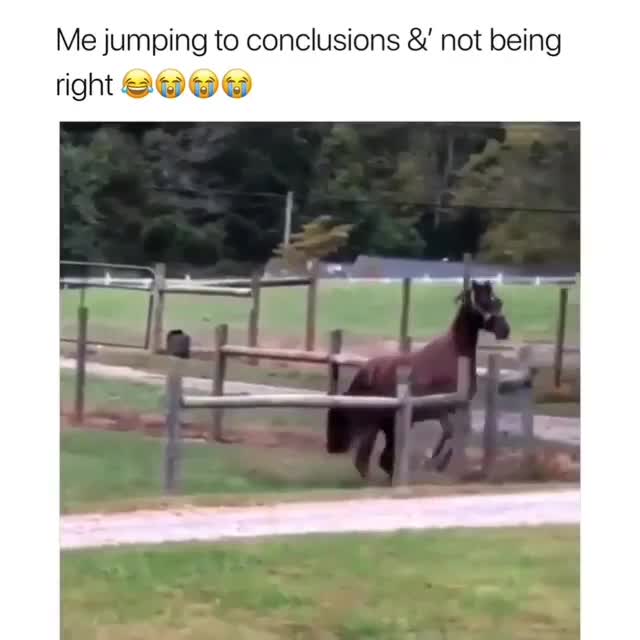 Jumping to Conclusions Meme Template: Horse Fails Jump - funny Relatable Humor meme