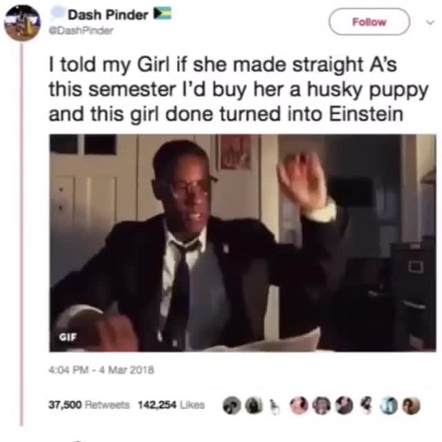 Girl Turns Einstein for Husky Puppy Meme Template - funny Reaction meme
