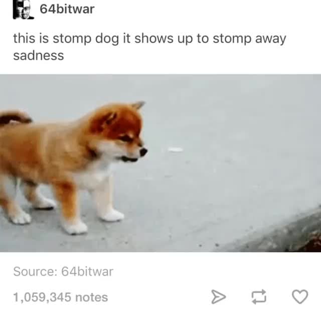 Cute Stomp Dog Puppy Meme Template - Stomping Away Sadness & Problems - funny Animals meme