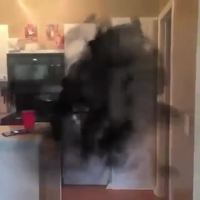 Y'all Ugly Poof Disappear Meme Template - funny Comedy meme