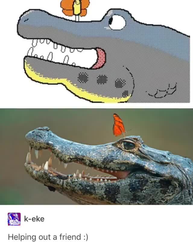 Alligator & Butterfly Helping Out Friend Wholesome Meme Template - funny Animals meme